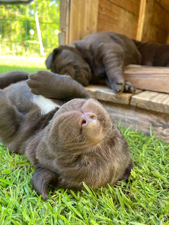 L2-Wurf aus der Dom- und Römerstadt