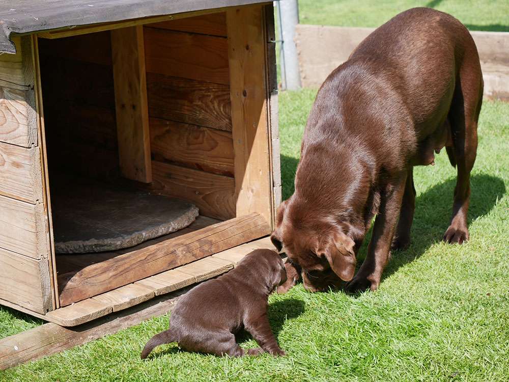 L2-Wurf aus der Dom- und Römerstadt