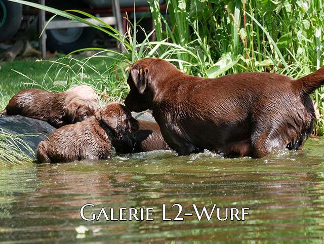 Galerie L2-Wurf
