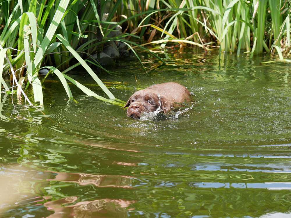 L2-Wurf aus der Dom- und Römerstadt