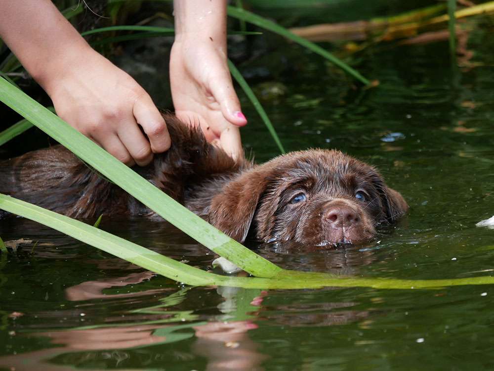 L2-Wurf aus der Dom- und Römerstadt