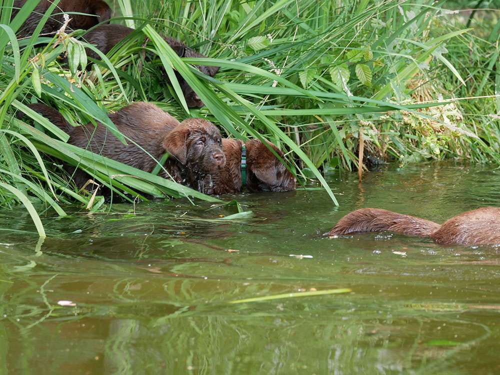 L2-Wurf aus der Dom- und Römerstadt