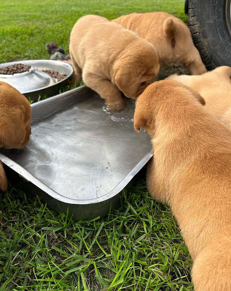 M2-Wurf 19.08.2023 M2-Wurf 19.08.2023