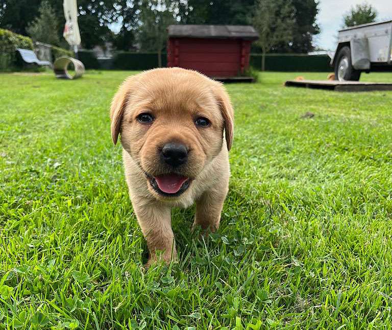 M2-Wurf 19.08.2023 M2-Wurf 19.08.2023