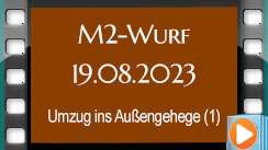 Video M2-Wurf 19.08.2023