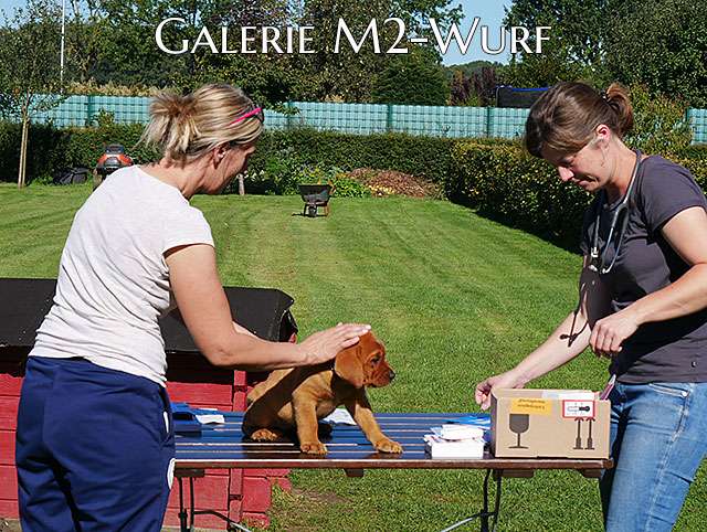 Galerie M2-Wurf