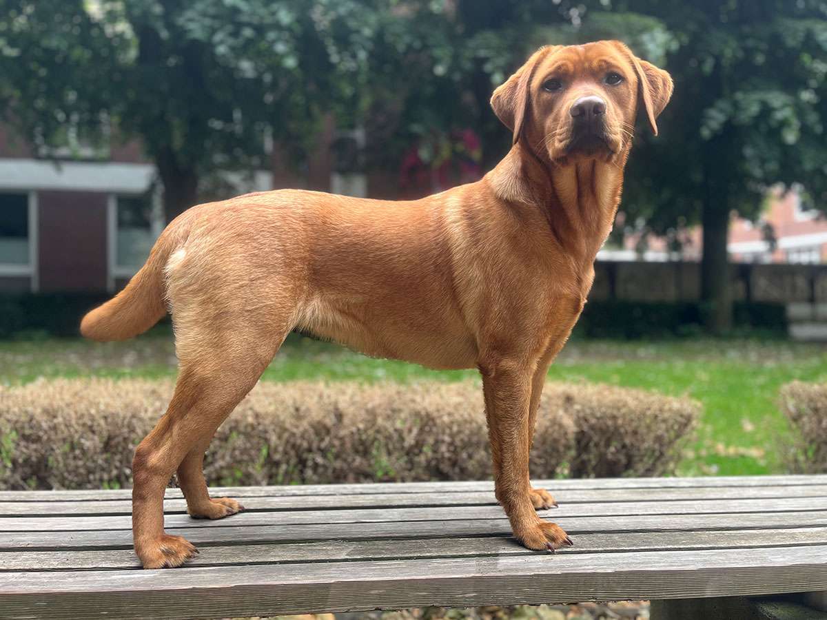 Berta aus Ermland und Masuren Berta aus Ermland und Masuren