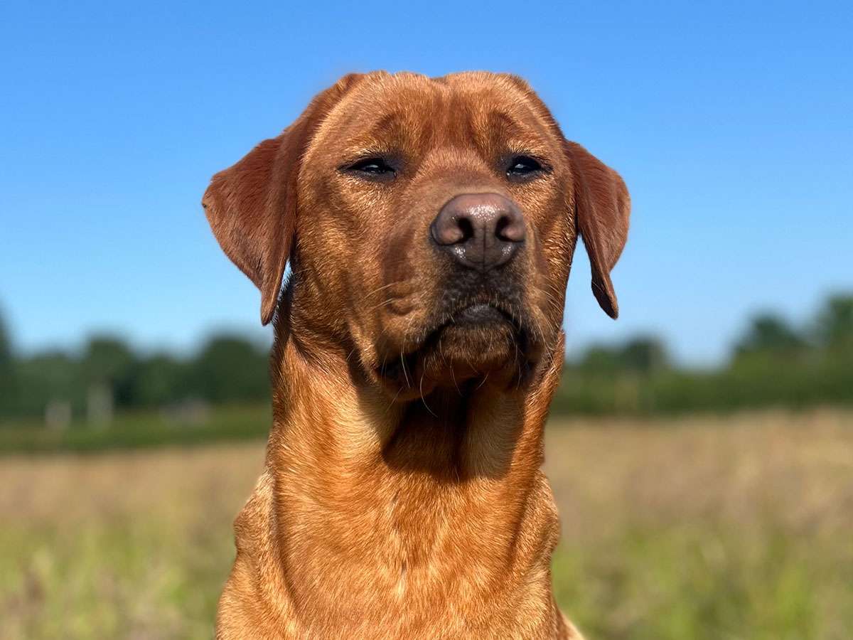 Berta aus Ermland und Masuren Berta aus Ermland und Masuren