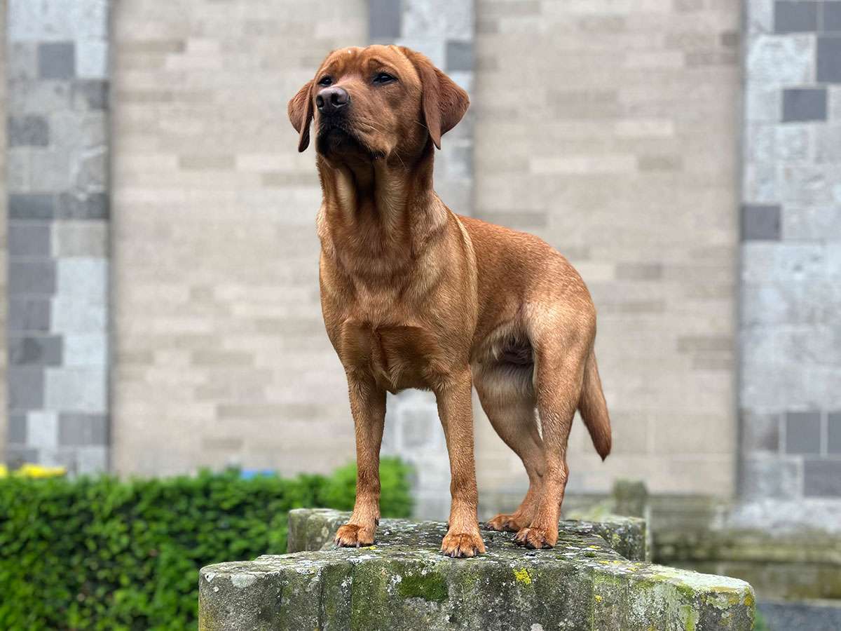 Berta aus Ermland und Masuren Berta aus Ermland und Masuren