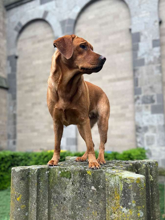 Berta aus Ermland und Masuren Berta aus Ermland und Masuren