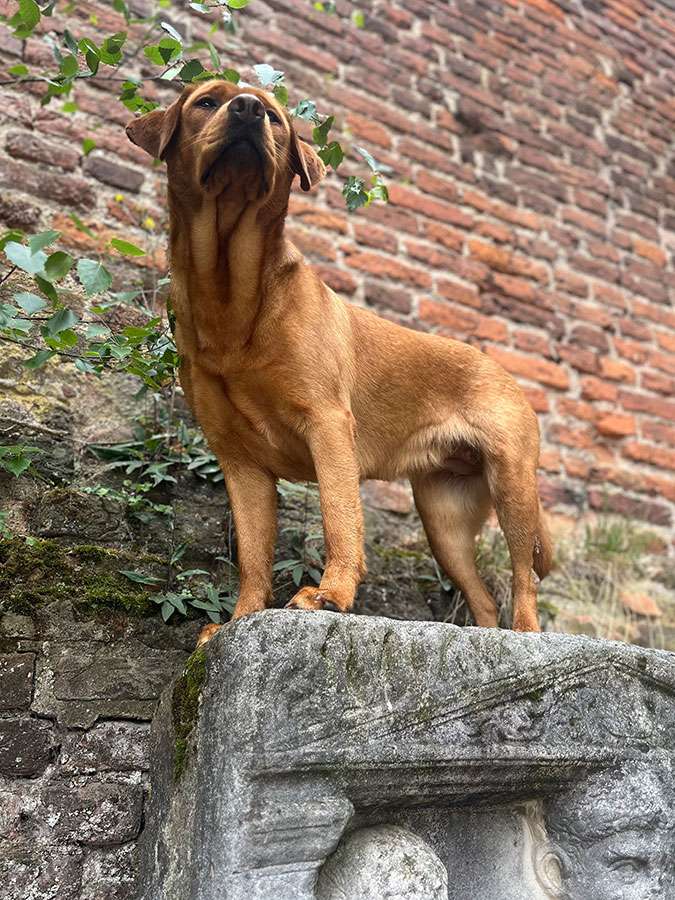 Berta aus Ermland und Masuren Berta aus Ermland und Masuren