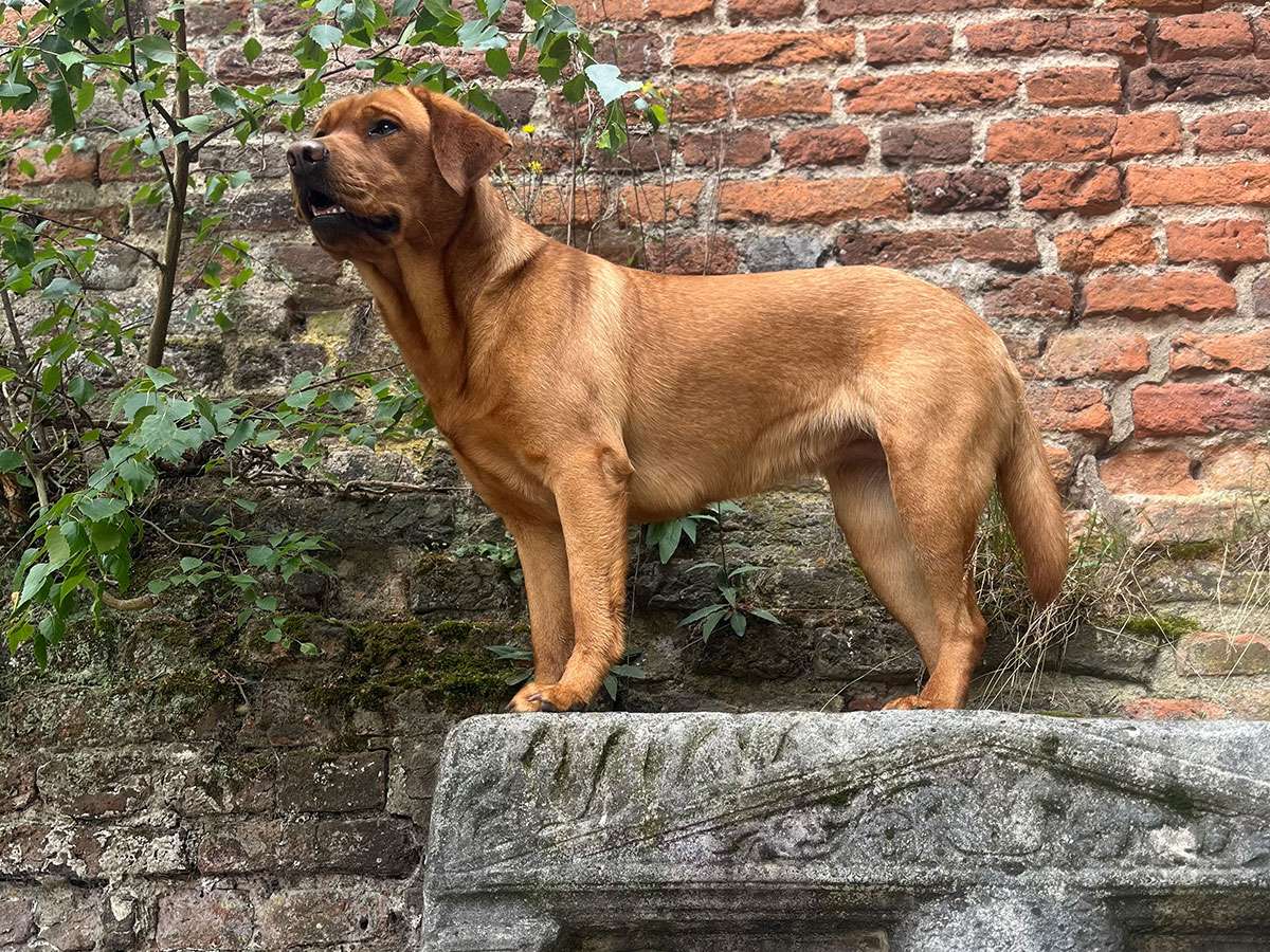 Berta aus Ermland und Masuren Berta aus Ermland und Masuren