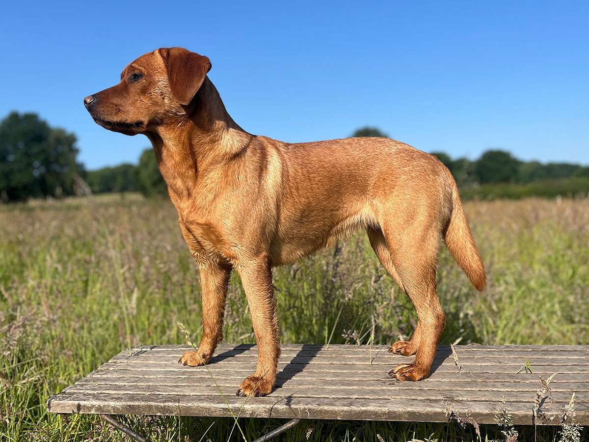 Berta aus Ermland und Masuren Berta aus Ermland und Masuren