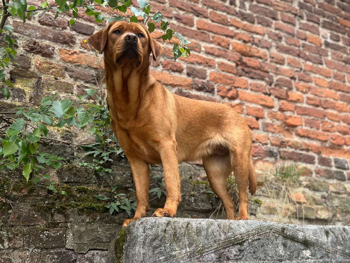 Berta aus Ermland und Masuren Berta aus Ermland und Masuren