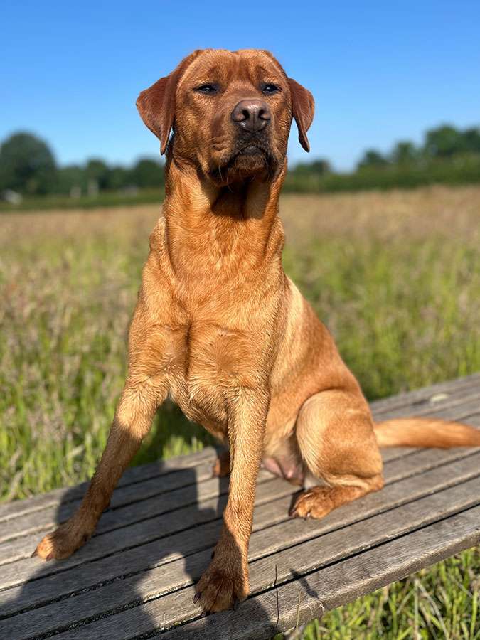 Berta aus Ermland und Masuren Berta aus Ermland und Masuren