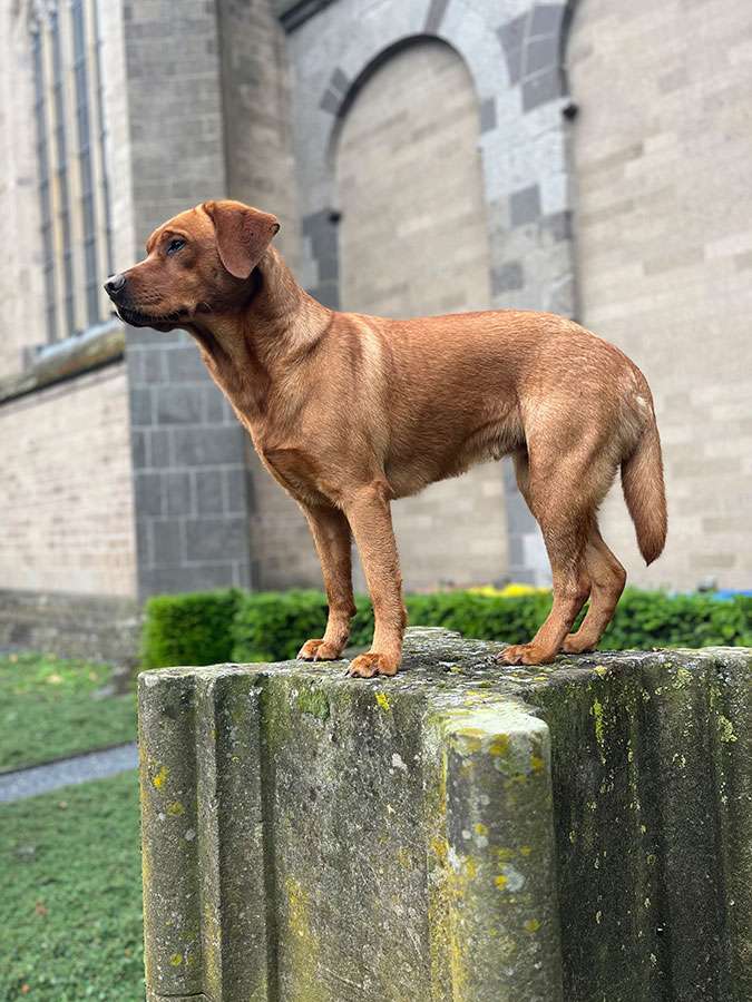 Berta aus Ermland und Masuren Berta aus Ermland und Masuren