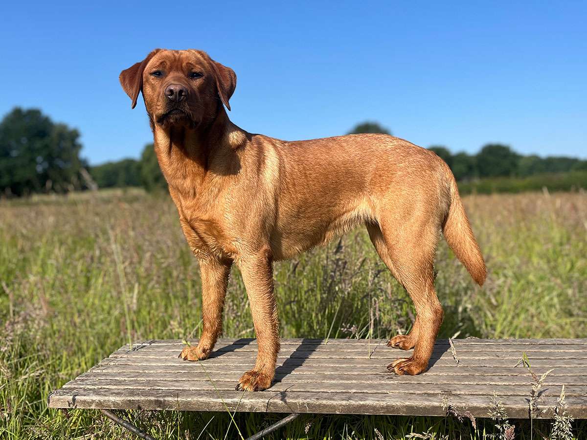 Berta aus Ermland und Masuren Berta aus Ermland und Masuren