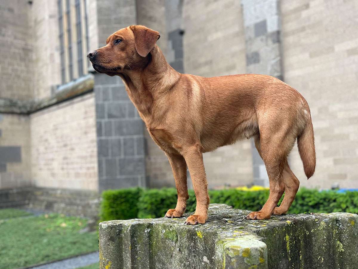 Berta aus Ermland und Masuren Berta aus Ermland und Masuren