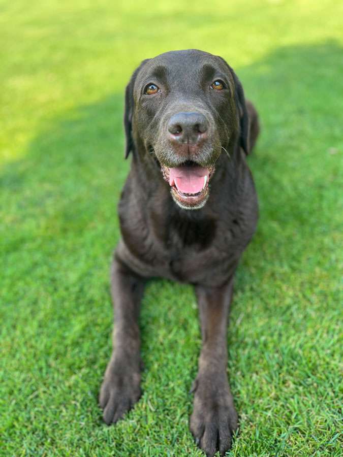 Happy von der Winteraue Happy von der Winteraue