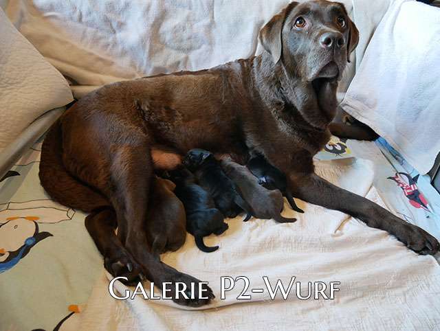 Neuigkeiten 09.10.2025