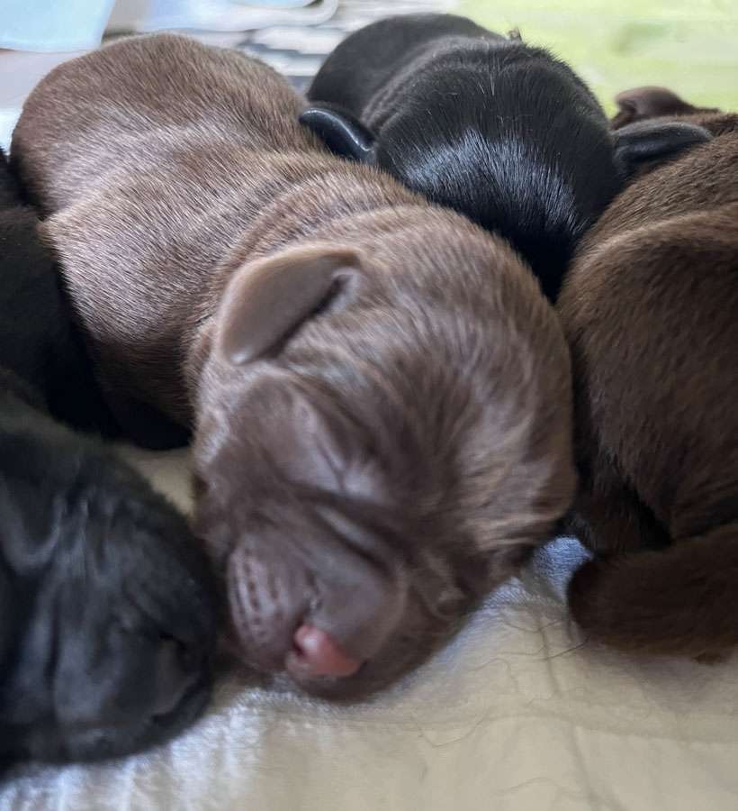 R2-002