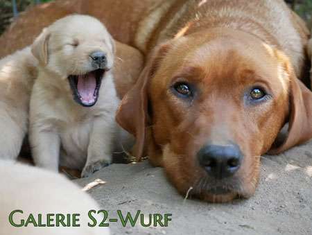 Galerie S2-Wrf