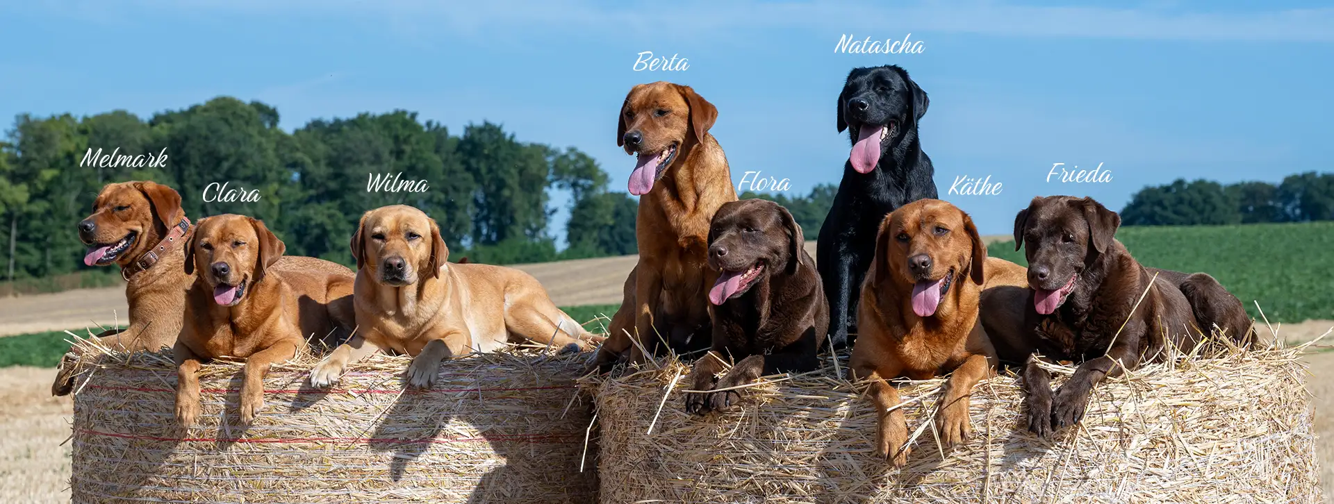 Melmark, Clara, Wilma, Berta, Flora, Natascha, Kaethe, Frieda Rudel Sommer 2026