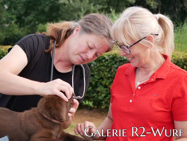 Heute fand die offizielle Wurfabnahme unseres R2-Wurfes statt. Um 09:30 Uhr trafen Frau Dr. Jana Faulseit sowie die Zuchtwartin des Labrador Club Deutschland e.V., Frau Marion Ratanski-Kraft, auf unserem Grundstück ein.